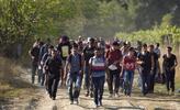Imigranci w drodze pomiędzy Macedonią a Serbią, PAP/EPA