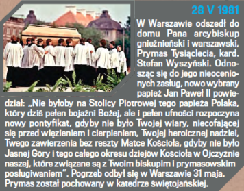 fot. wSieci.pl
