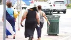 obesity-993126_1280 (1).webp