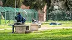 migranci zus.webp