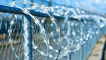 tungart7-fence-8676569_1920 (1).webp