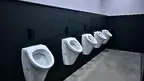 lhennen-toilet-5002659_1920.webp
