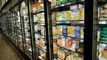 elasticcomputefarm-frozen-food-1336013.webp