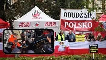pacyfikacja glowne.webp
