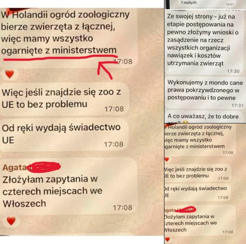 aktywiszcza_screeny