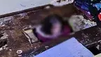 123-297842 (1).webp