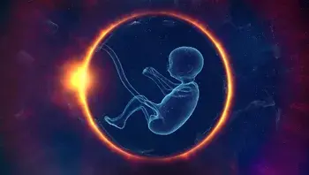 sunriseforever-embryo-7036773_1920.webp