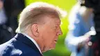 paptrumpp.webp