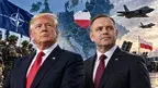 Polska ufa USA.webp