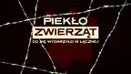 Piekło zwierząt za drutem kolczastym.webp