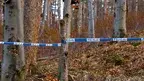 seans_policja.webp