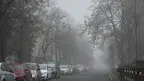 mgła.webp