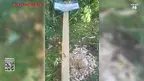 2487577_6.webp