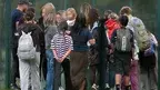mid-26a08404.webp