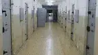 falco-jail-4712883.webp
