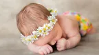 df318415ea4e4bb9b46c3ea0fed03c28.webp