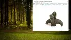 13f19c1d17984c2ba527055d64ac8563.webp