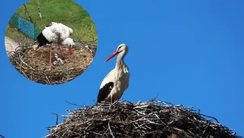 30e6d5d003074967890be6c5545080e1.webp