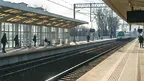 8ca70b69ba3043ca922f2294c8128584.webp