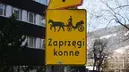 7ba8d3ec24fd4e009bd48fcf8c6b6b93.webp