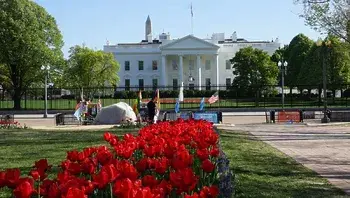 62abeb2947604cfa8ace9ae2f74b9231.webp