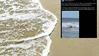 bf6f7c1721d147afbfec3494591918c4.webp