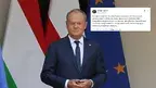 0338e049328e4daeac48f5134b972d56.webp