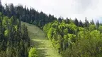 4da7d4625ae94afdbb551b4c9adad4d3.webp