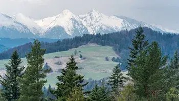 94480e25174c4cceb7c9be86f6515063.webp
