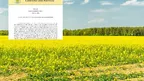 ae08ad7672d74044a13204661abbc430.webp