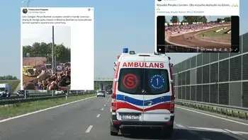 ed4af49ecb0c43deaa1bd7b6e8d65fea.webp