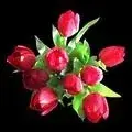 MTIweDEyMC9jX2MvdV8xL2NjXzlmYTJiL3AvYXV0aG9ycy9hdmF0YXIvMjAxNC0xMS8yMDAvMTk0L2dyYXR1bGFjamVfYXZhdGFyLmpwZw.webp