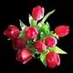 MTIweDEyMC9jX2MvdV8xL2NjXzlmYTJiL3AvYXV0aG9ycy9hdmF0YXIvMjAxNC0xMS8yMDAvMTk0L2dyYXR1bGFjamVfYXZhdGFyLmpwZw