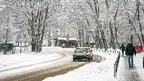 6b3c0add5b82410ea8147ceb9de7cdd7.webp