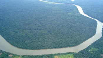 05ba200560144000aa436fbf494085c2.webp