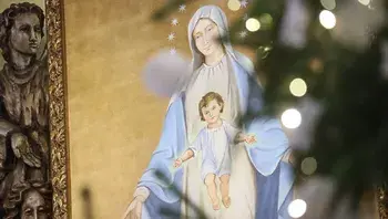 65e010162f704c9881fa2d43d3cbafc4.webp
