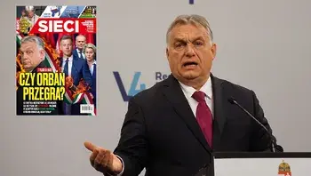 f35d96ba0b5e4a3dbbdf45f92e1feabf.webp