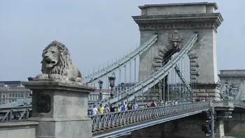 d6d4664a33914b44950889fa7b7c54c8.webp