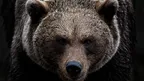 cc7b8c5ae8f548dd9579c04eb1e88500.webp
