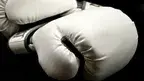 e69a41e53f0445509517a4128e082654.webp
