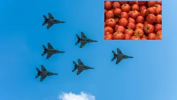 5b1d9cdf7e4442c19083f077450d110e.webp