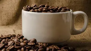 f1cc134495a2414abb1e4f524c66957f.webp
