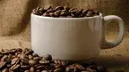 f1cc134495a2414abb1e4f524c66957f.webp