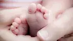2c84756bc1c34182812c8323f58faed8.webp