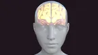 d6a68eea17764a788a2b8d8fa7091a28.webp