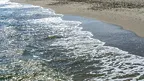 16f537ec2de6478e96c09337855f7f66.webp