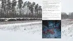 ed32ff4c665349c2bdd1074909e15688.webp