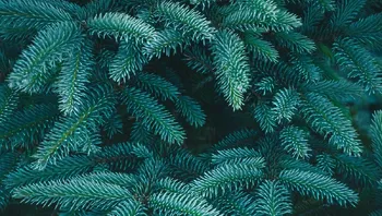 c720b4d5a82e4570b34e8e4dee24807f.webp