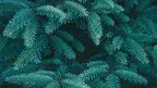 c720b4d5a82e4570b34e8e4dee24807f.webp