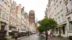 1926e10e66984f4ea7015a3afea39a65.webp